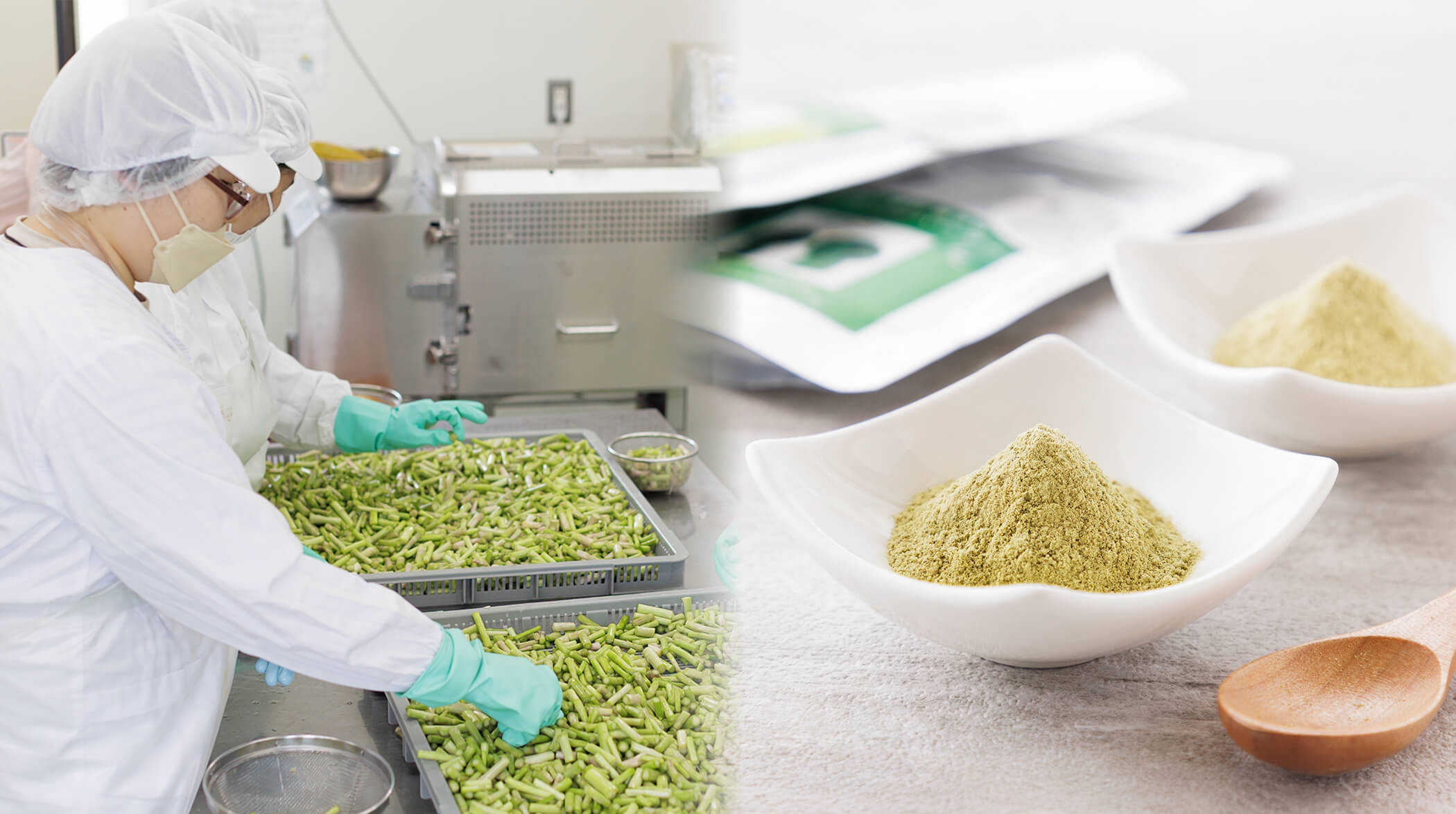 野菜パウダー工場